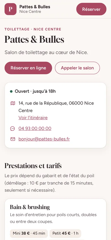 Page publique d'un salon sur téléphone : prestations et prix par gabarit