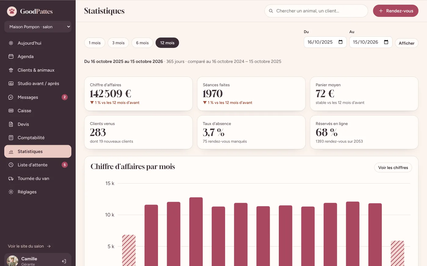 Statistiques GoodPattes sur 12 mois : chiffre d'affaires par mois, séances, panier moyen