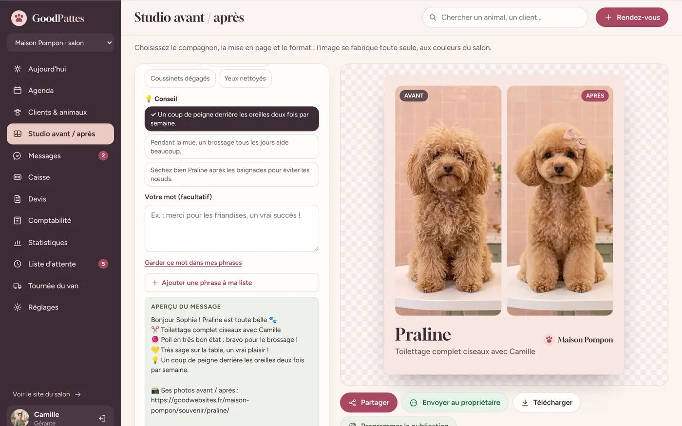 Studio avant / après de GoodPattes : image aux couleurs du salon et bulletin pour le propriétaire
